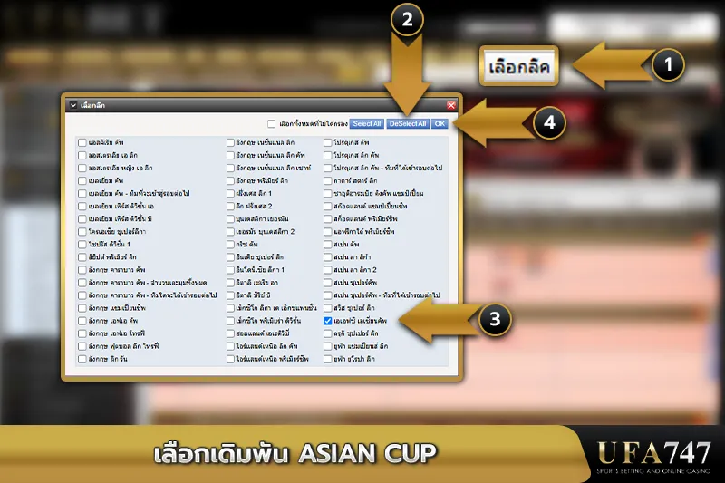 เลือกเดิมพัน Asian Cup