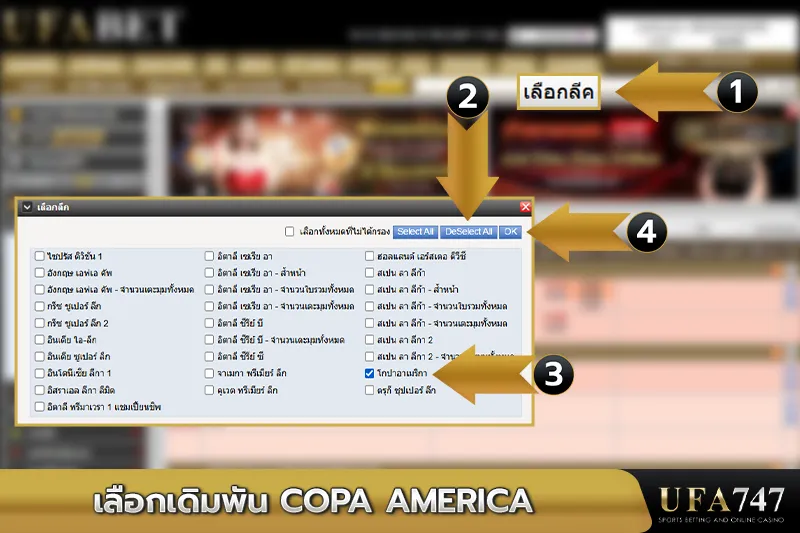 เลือกเดิมพันโคปาอเมริกา