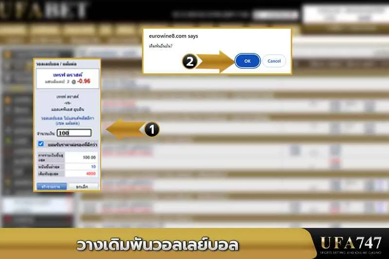 วางเดิมพันวอลเลย์บอล