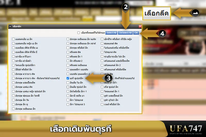 เลือกเดิมพันตุรกี