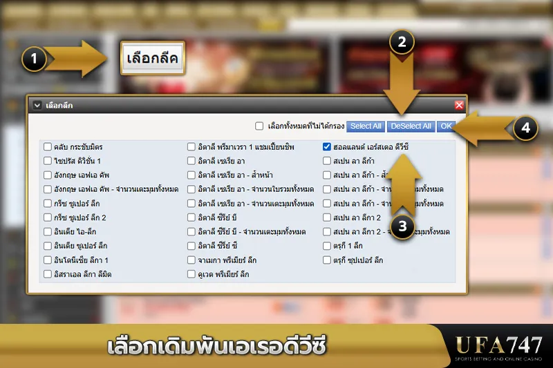 เลือกเดิมพันเอเรอดีวีซี