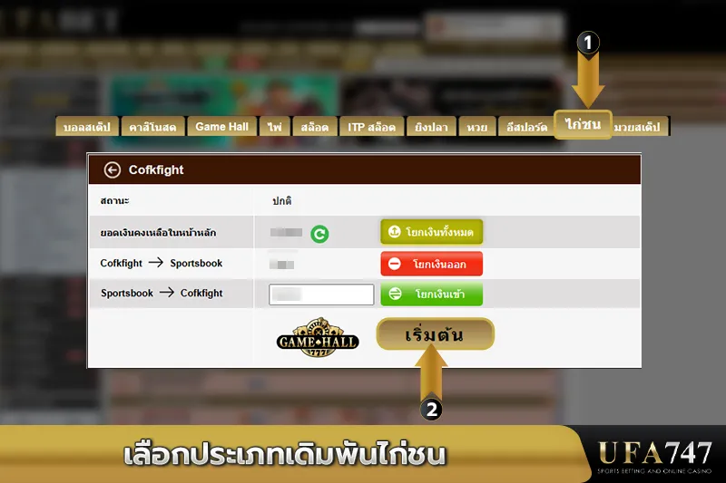 เลือกประเภทเดิมพันไก่ชน